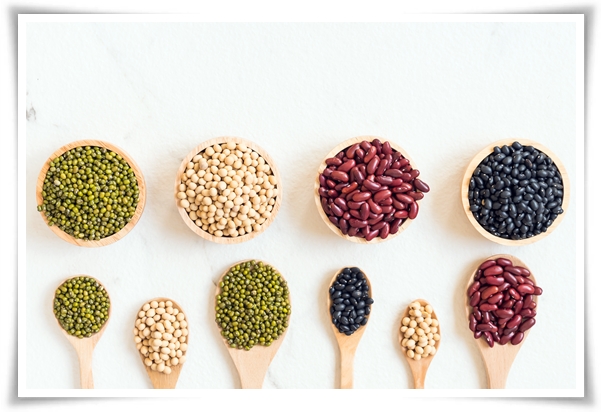 텃밭 &quot;5월, 강낭콩 심으세요!&quot; 콩알 콩알 재미가 톡톡, 쑥쑥 자라는 기쁨!