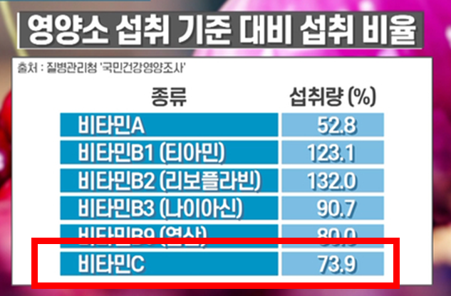 영양소 섭취 기준 대비 섭취 비율