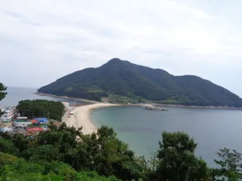 비진도 배시간표 예매 요금 배편 예약_3