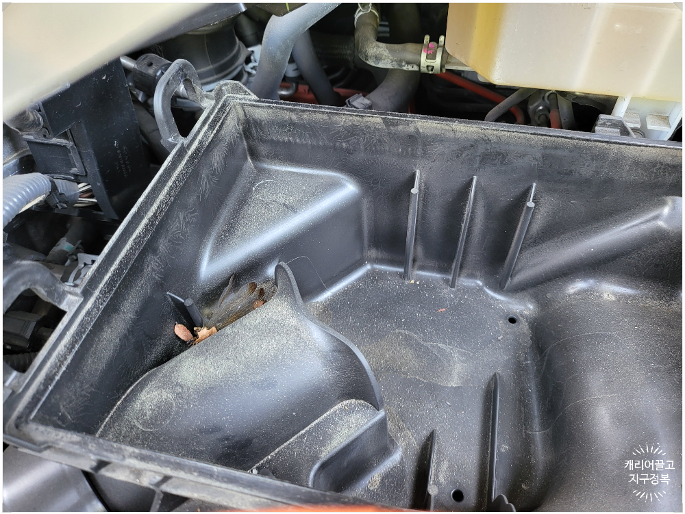 ES300h 에어 클리너 필터 교체하기