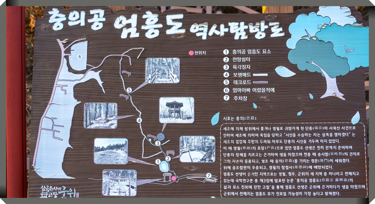 엄흥도 묘소위치: 대구 군위 진묘 논쟁 총정리(영화 왕과 사는 남자 유해진)