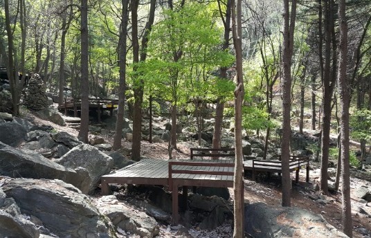 축령산자연휴양림 데크