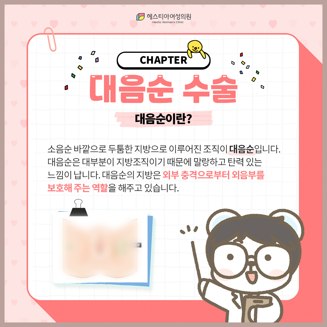 대음순이란?