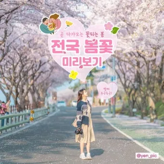 봄꽃 여행지 베스트10 벚꽃 유채 튤립 명소와 걷기 좋은 코스_2