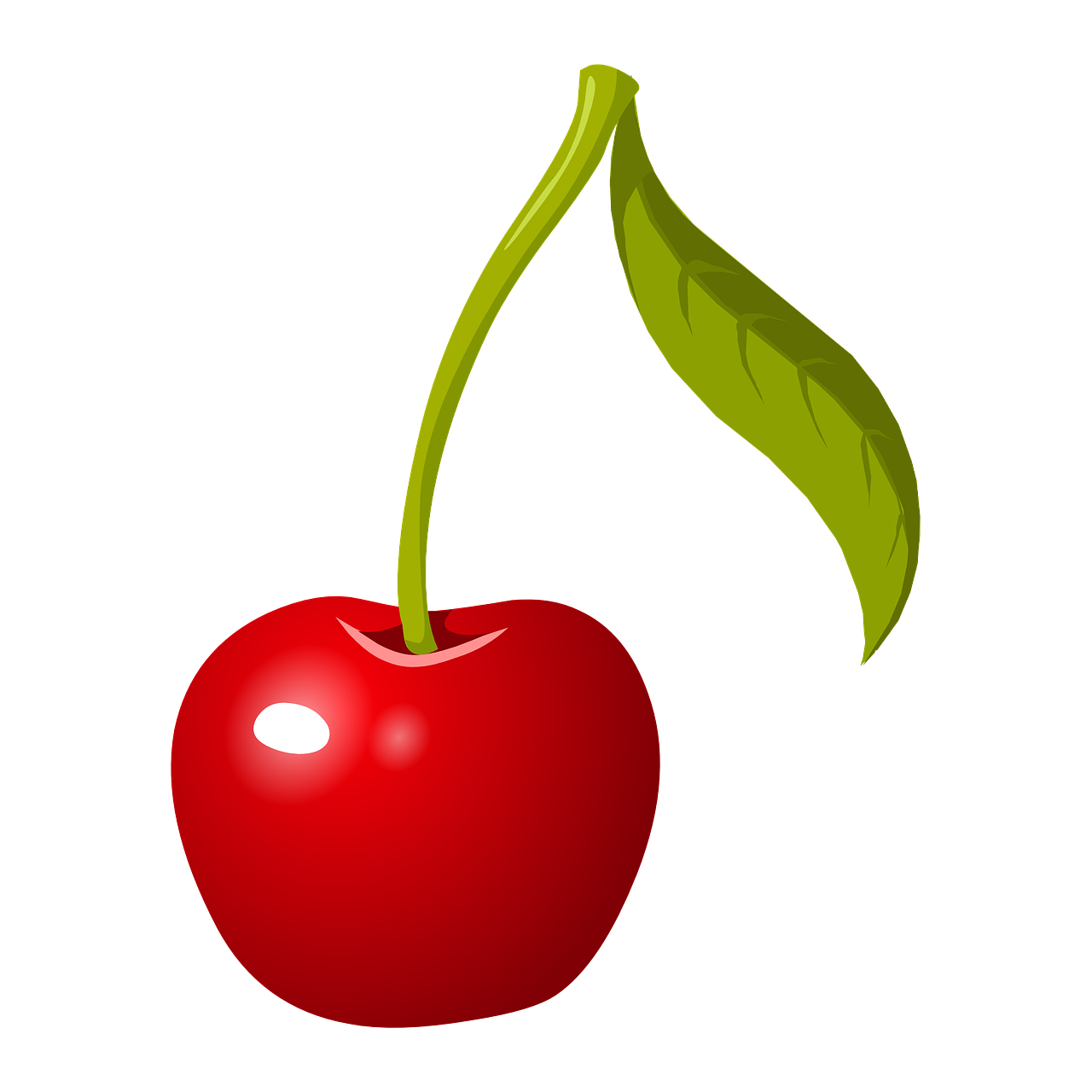 체리, cherry