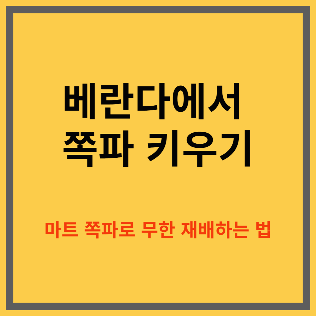 베란다에서 쪽파 키우는 방법, 마트 쪽파로 무한재배하는 화분 텃밭