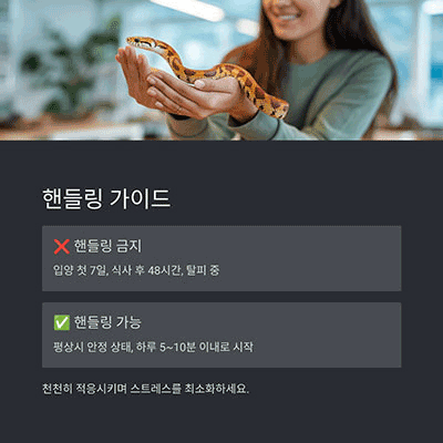 핸들링과 경계 반응 – 적응 후 천천히