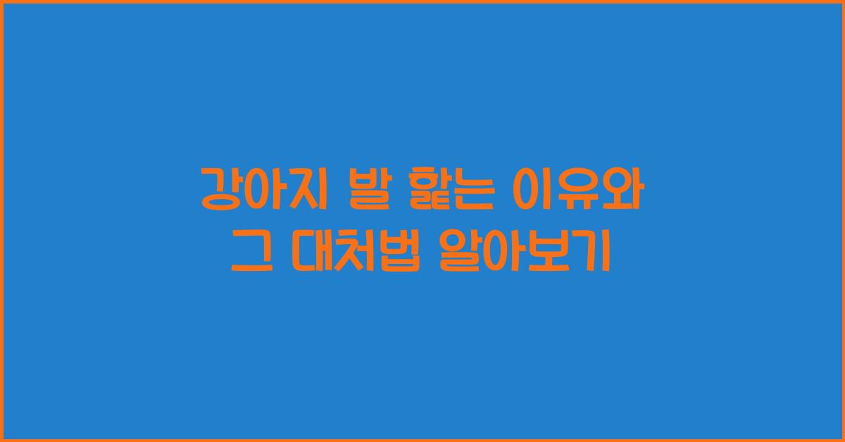 강아지 발 핥는 이유