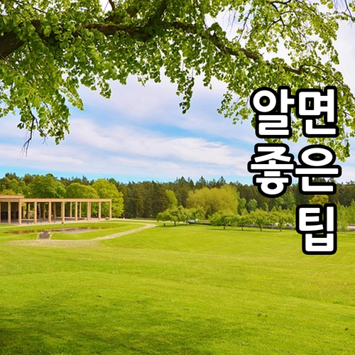 2025 부산 사하구 구민안전보험 누..