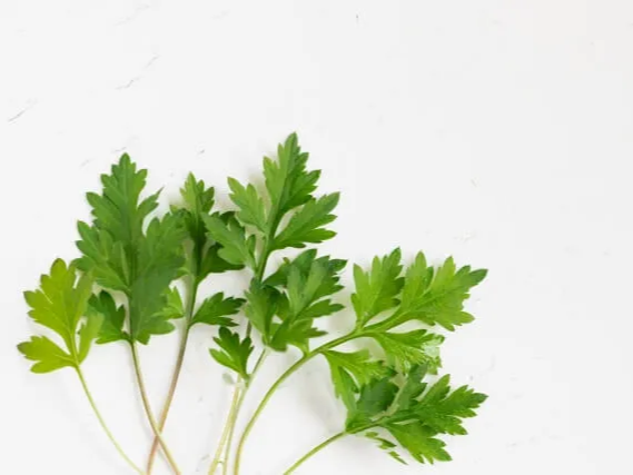 영양 및 에너지 보충 쑥떡 효능