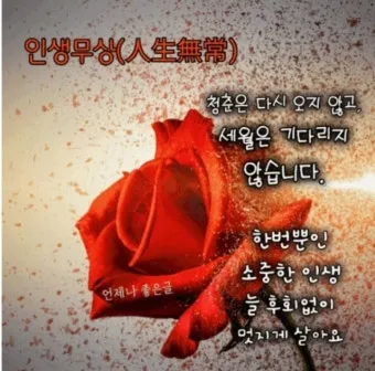 사자성어 인생무상 새옹지마 뜻 자료집_18