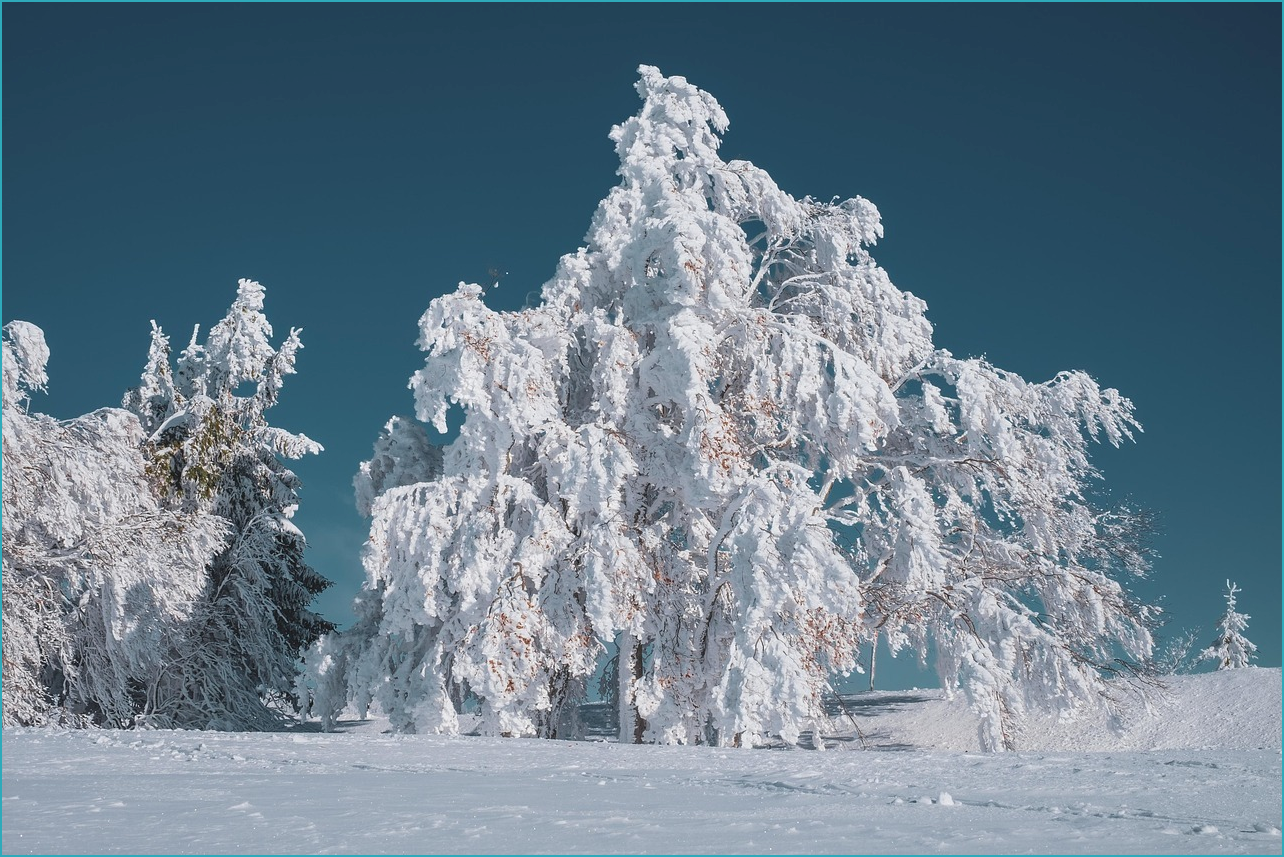 국세 환급금 조회방법