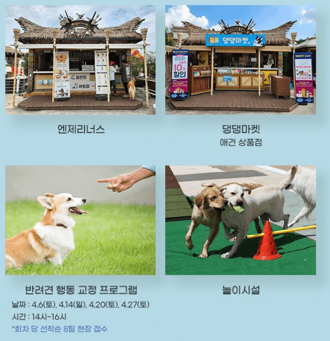 댕댕워터파크-편의시설