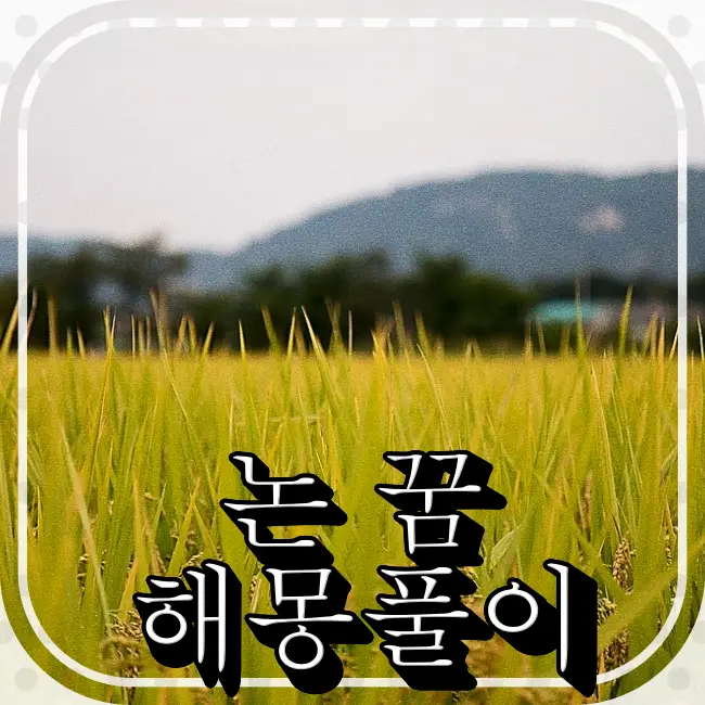 논에-벼가-가득차다