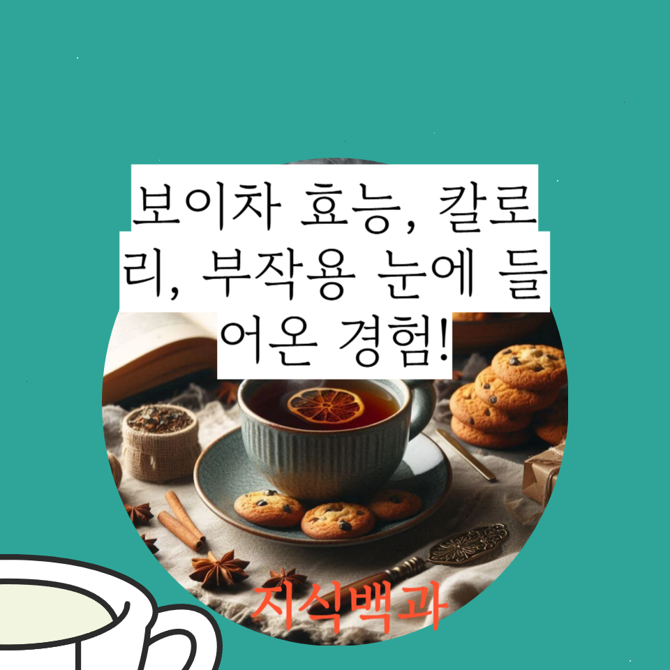 보이차 효능, 칼로리, 부작용 눈에 들어온 경험!