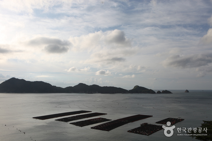 신안 가볼만한곳 베스트10