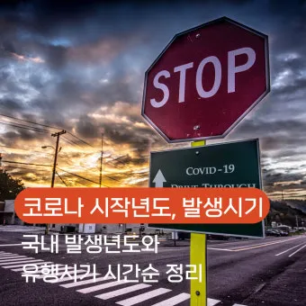 코로나 시작년도 발생년도_2