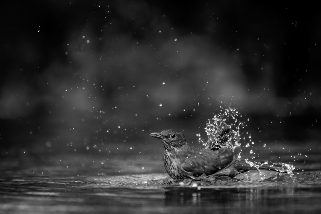 Bathing