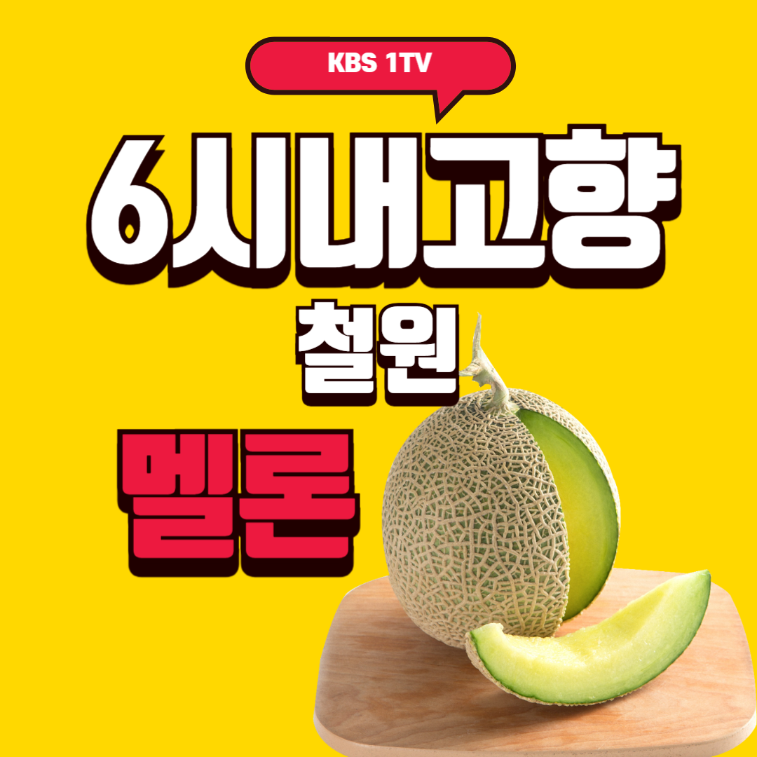 6시내고향 철원 멜론 썸네일