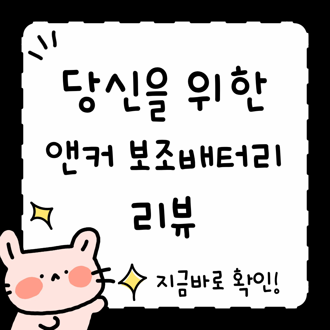 휴대용 앤커 보조배터리