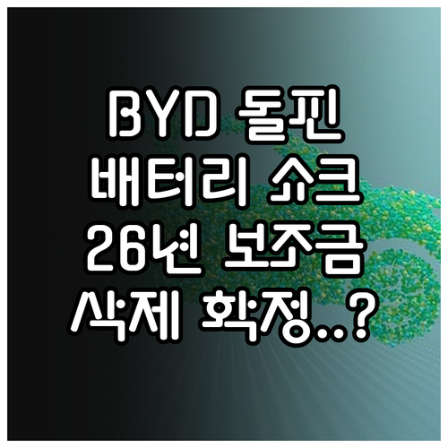 BYD 돌핀 LFP 배터리 효율에 따..