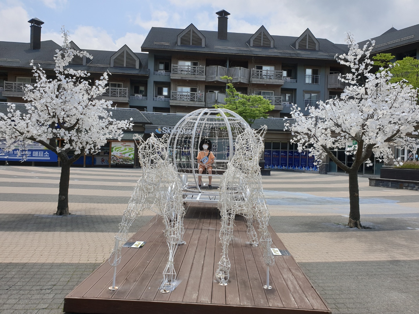 강원도 평창 가볼만한곳 6