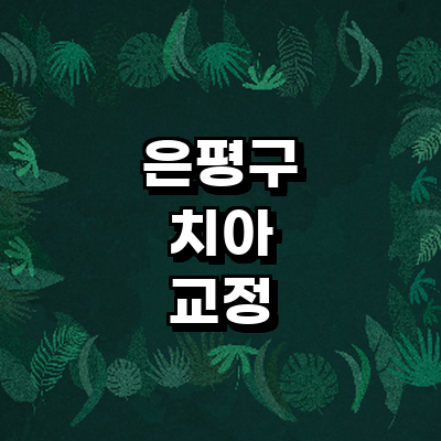 서울 은평구 교정 치과