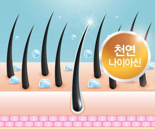 비오틴