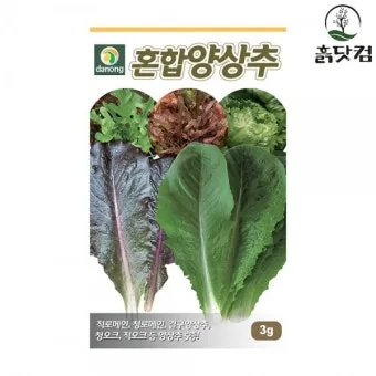 양상추 재배 결구 키우기 파종 시기 물주기 요령_14