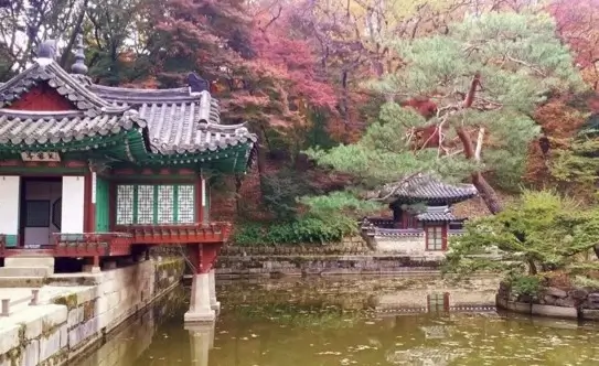 창덕궁 왕실정원 관람