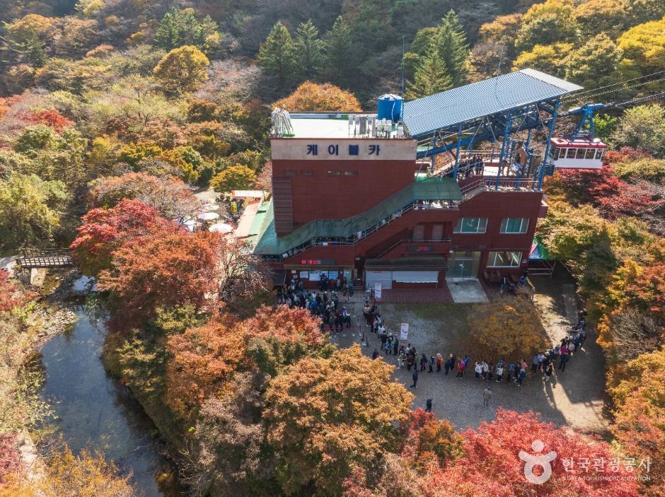 내장산 케이블카 승강장 주변 단풍
