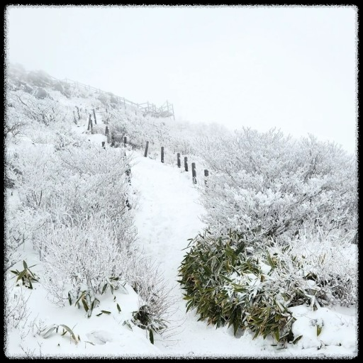 국내 겨울 설경 여행지 Best 10: 눈 덮인 명소와 일출&middot;일몰 스팟