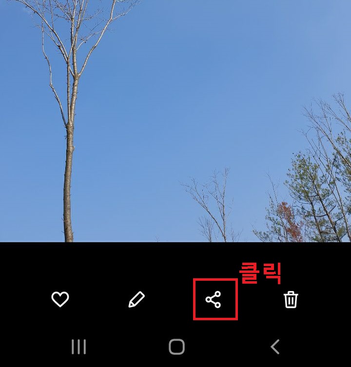 사진하단에 공유 버튼 생김