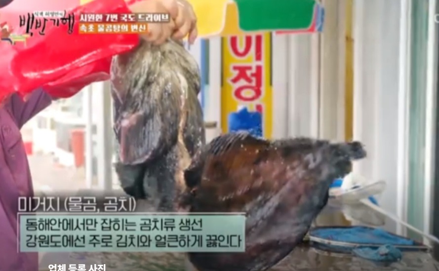 한국기행-고성-곰치-물곰탕-강동호식당