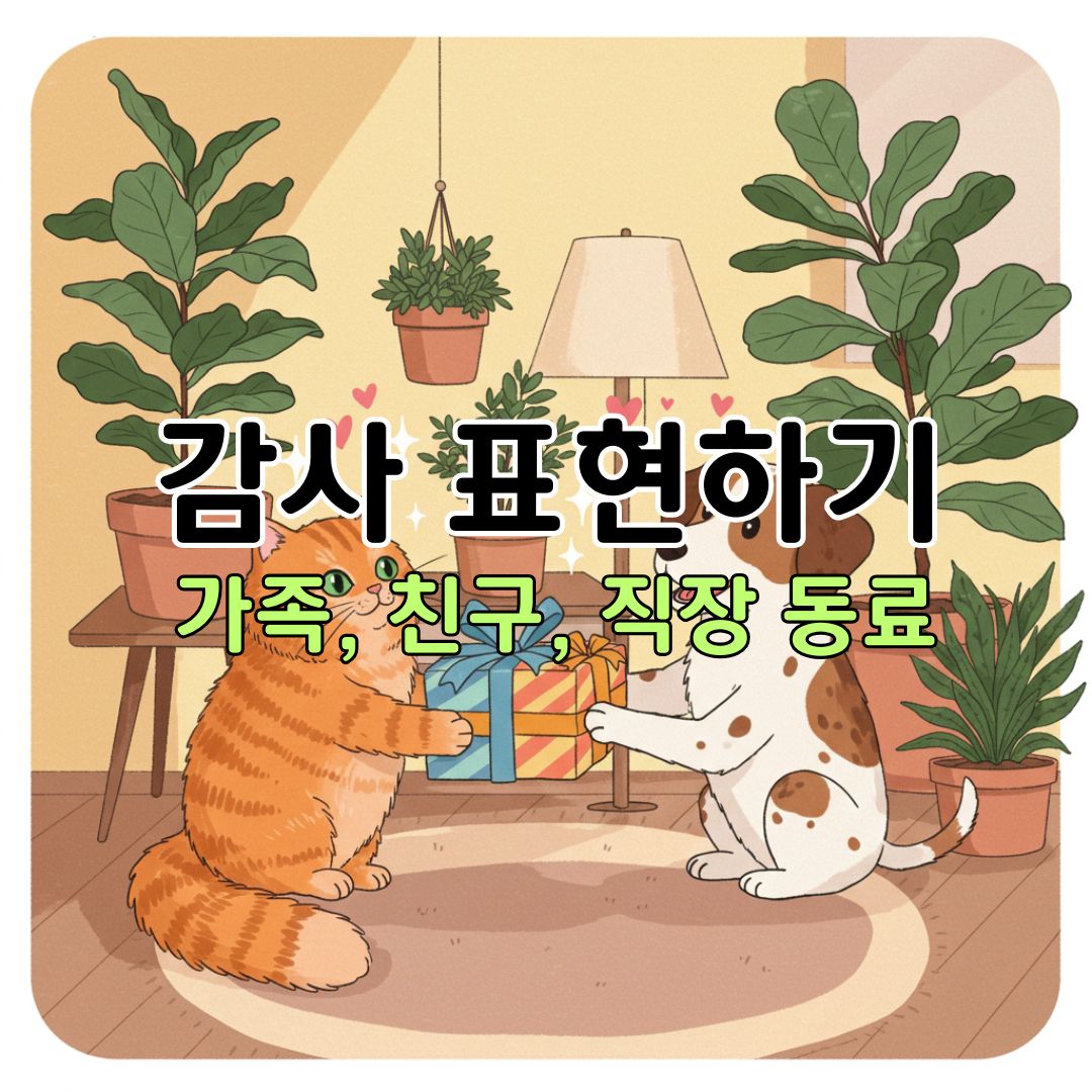 일상 속 감사 표현으로 관계를 따뜻하게 만드는 방법 가족, 친구, 직장 동료에게 마음 전하기
