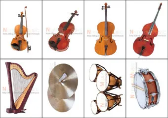 오케스트라를 구성하는 클래식 악기들의 종류와 특징을 정리_3