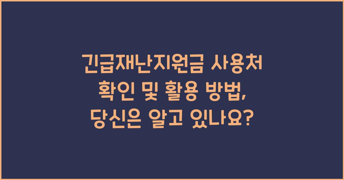 긴급재난지원금 사용처 확인 및 활용 방법