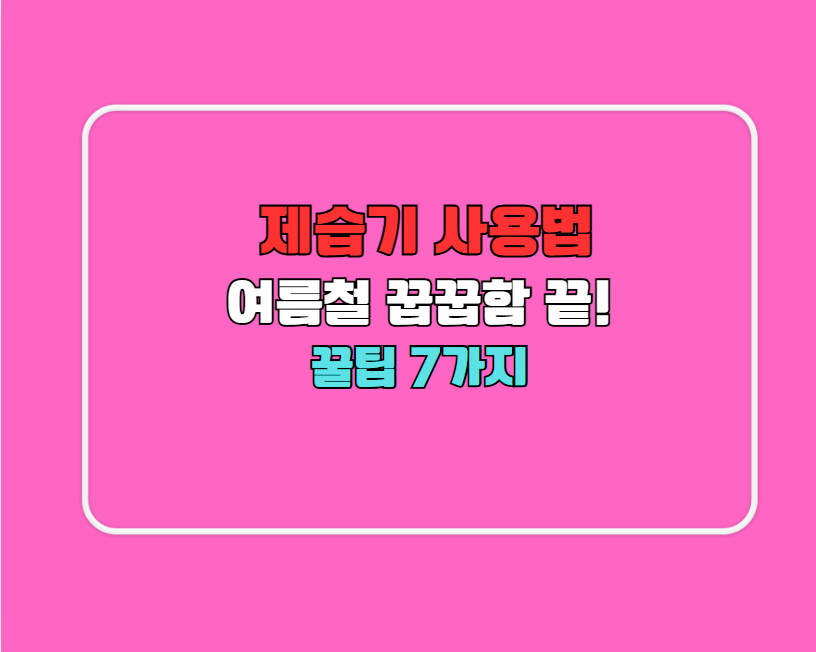 여름철 꿉꿉함 끝! 제습기 사용법 꿀팁 7가지