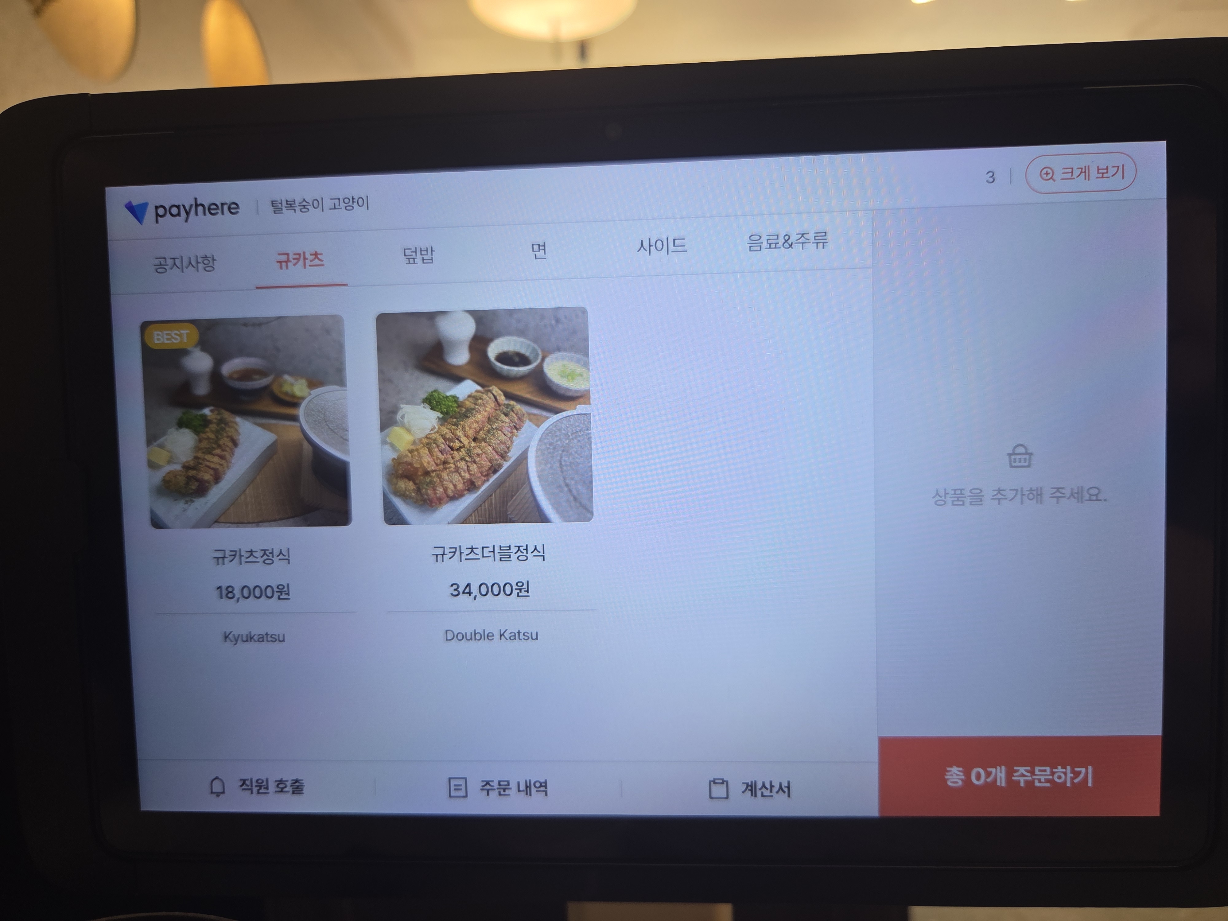 털복숭이고양이