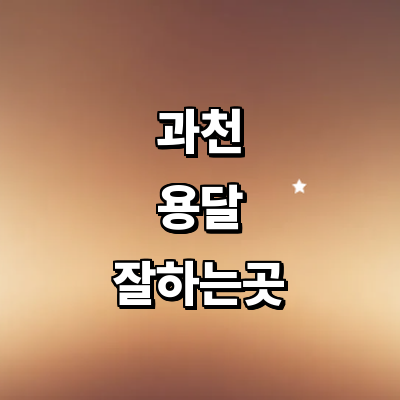 과천시 용달