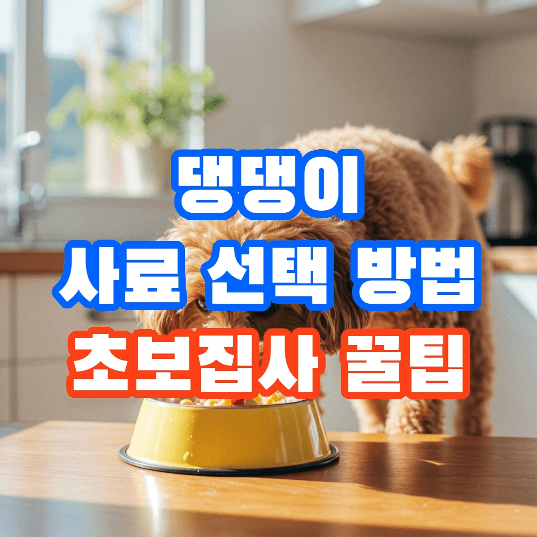 반려견 사료 선택 방법, 초보 주인이 알아야 할 5가지 필수 가이드🐾