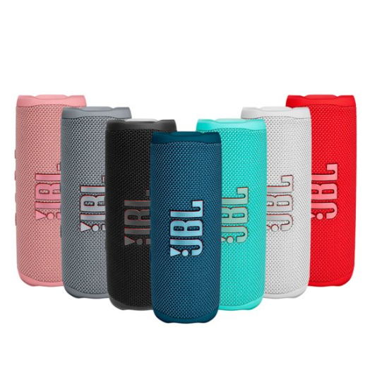 JBL Flip 6
