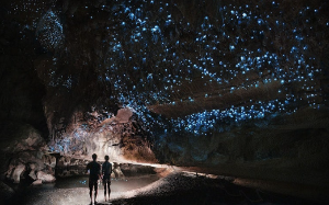 뉴질랜드 신혼여행