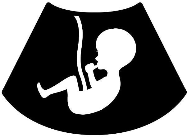 임신-주수-계산기