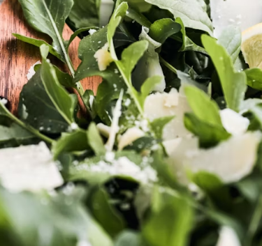 루꼴라 효능 부작용 영양성분 먹는법 고르는법 칼로리