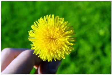 사마귀제거방법