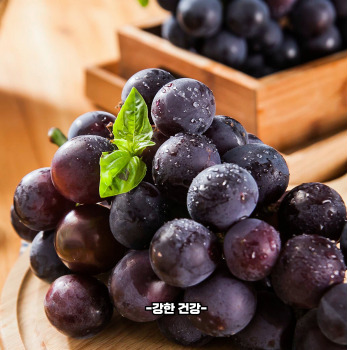 포도 효능