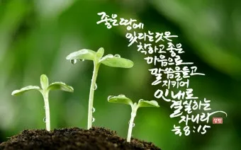 매일성경 묵상과 깨달음(누가복음 8장 1-15절) 씨 뿌리는 자의 비유 말씀_13