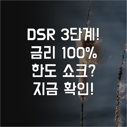 미래 금리 100% 반영 스트레스 D..