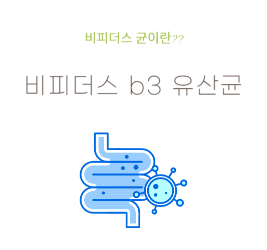 비피더스-균-b3-유산균-추천